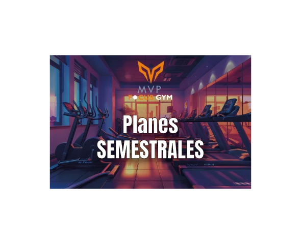 03 - Planes Semestrales